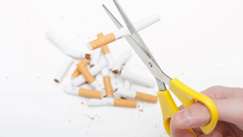 Cigaretter klippes med saks. Billede: Colourbox